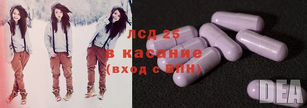 прущие грибы Краснотурьинск