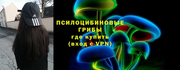 прущие грибы Краснотурьинск