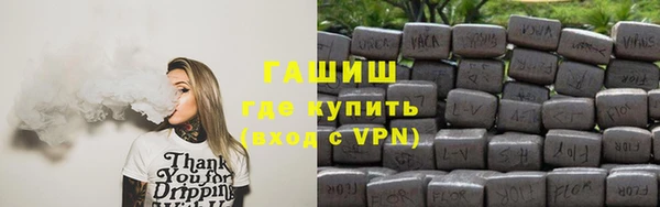индика Костерёво