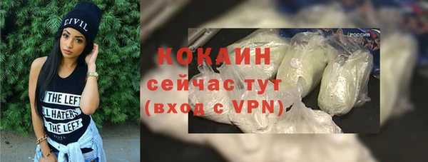 прущие грибы Киреевск
