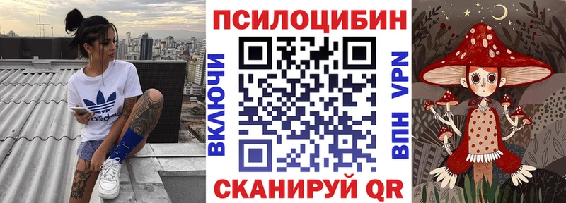 Псилоцибиновые грибы Cubensis  Купить  Кола 